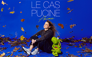 Le cas Pucine